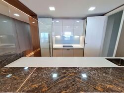 V On Shenton (D1), Apartment #543103361
